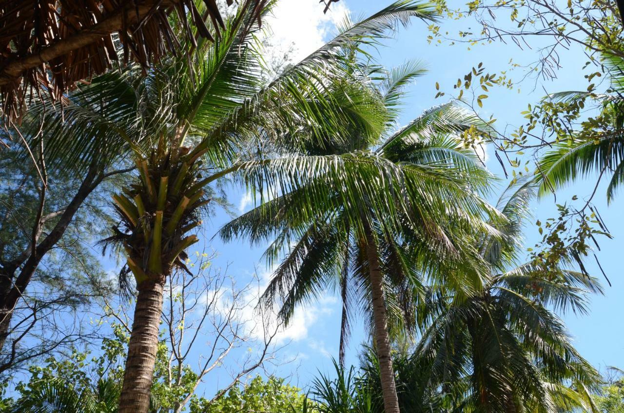 فندق كو فايامفي  Reggae Island Private Island المظهر الخارجي الصورة