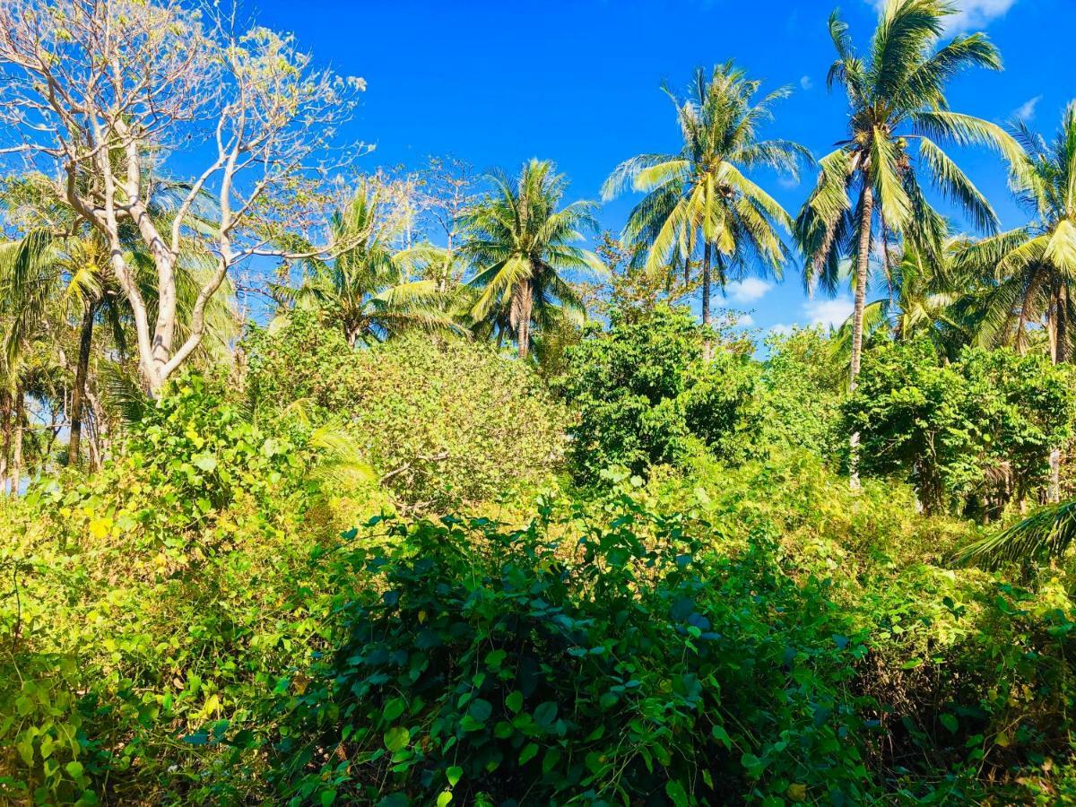 فندق كو فايامفي  Reggae Island Private Island المظهر الخارجي الصورة